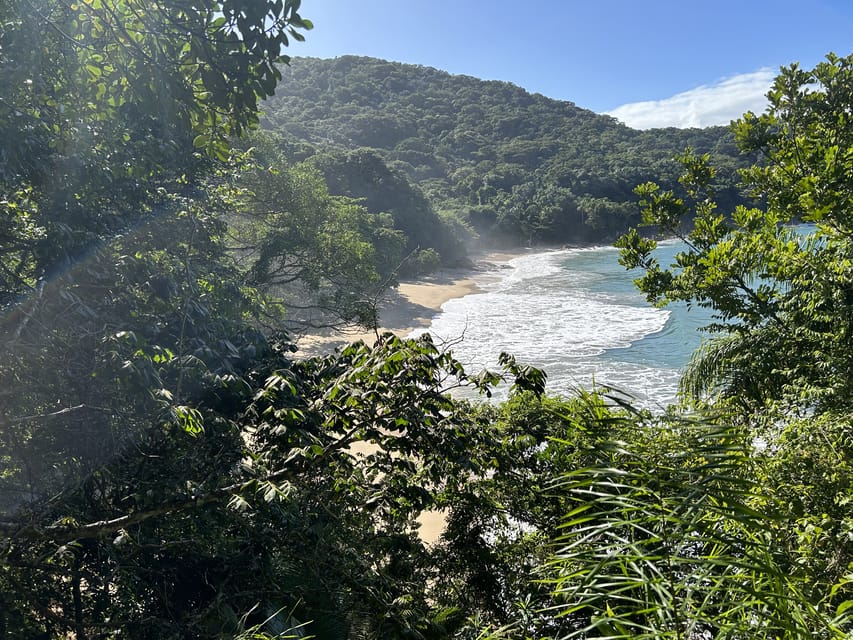 Exploring the Atlantic Forest near Ubatuba 