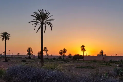 QUAD BIKING AND CAMEL HALF DAY TRIP IN MARRAKESH