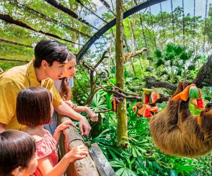 Singapore Bird Paradise & Zoo Full Day Tour