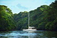 Île aux Cerfs, Full-Day Catamaran Cruise with BBQ Lunch - Housity
