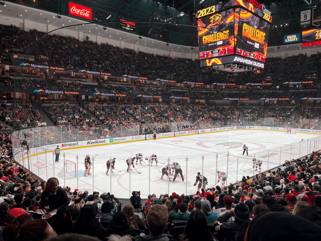 Los Angeles Anaheim Ducks Hockey Hielo Game Ticket de entrada