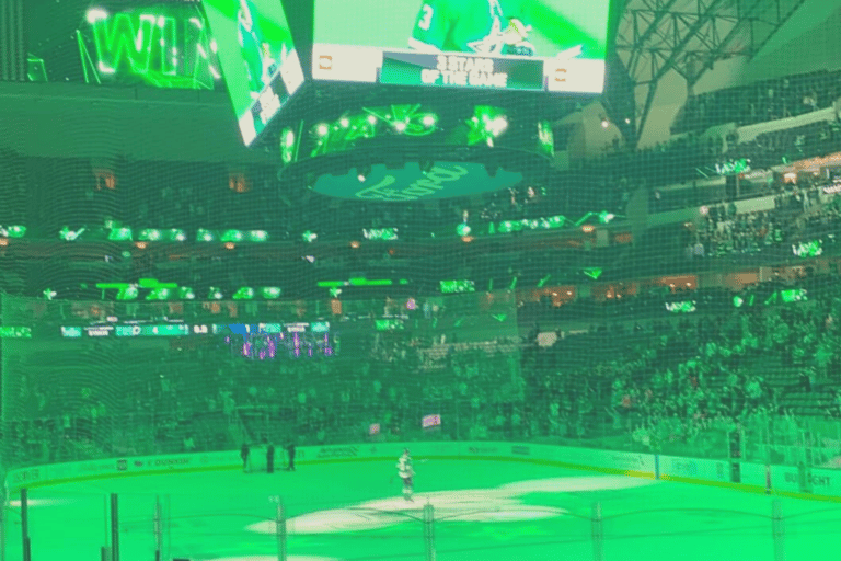 Dallas: Dallas Stars NHL Ice Hockey Game TicketDallas Stars NHL Ice Hockey Game Ticket: Budget Seating