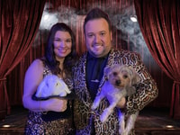 Pigeon Forge, incredibile spettacolo di magia di Steven Best - Housity