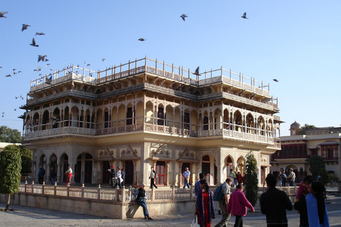 Jaipur: Tour guidato della città di un giorno intero con trasferimenti in hotel