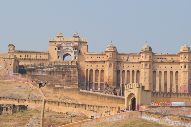 Jaipur: Tour guidato della città di un giorno intero con trasferimenti in hotel