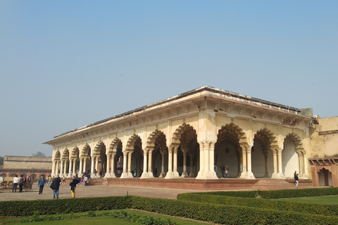 Sáltate la cola: Visita guiada al Taj Mahal con Mausoleo