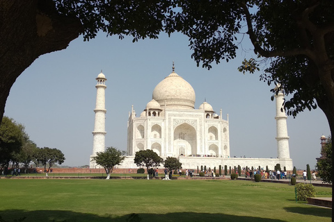 Sáltate la cola: Visita guiada al Taj Mahal con Mausoleo