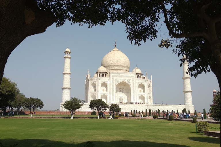 Sáltate la cola: Visita guiada al Taj Mahal con Mausoleo