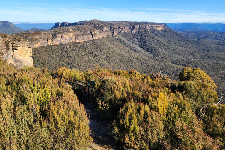 Da Sydney: Tour delle Blue Mountains con passeggiata alle cascate e pranzoDa Sydney: tour delle Blue Mountains con Waterfall Walk e pranzo