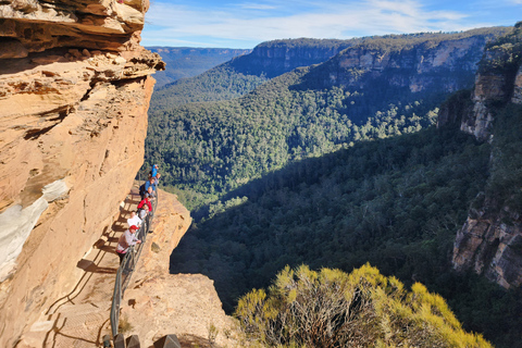 Da Sydney: Tour delle Blue Mountains con passeggiata alle cascate e pranzoDa Sydney: tour delle Blue Mountains con Waterfall Walk e pranzo