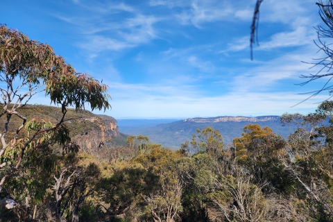 Z Sydney: wycieczka po Górach Błękitnych z wodospadem i lunchemWycieczka po Górach Błękitnych ze spacerem po wodospadzie i lunchem