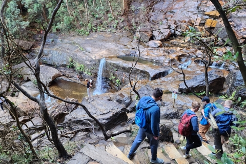 Vanuit Sydney: Blue Mountains-tour met watervalwandeling en lunchBlue Mountains Tour met watervalwandeling en lunch