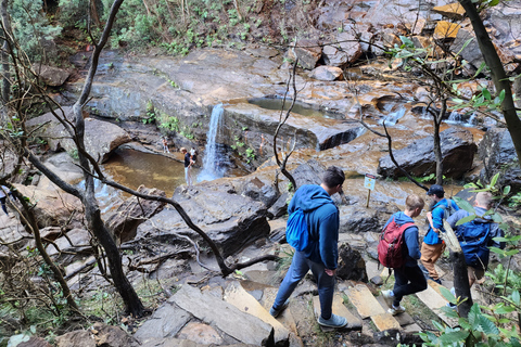 De Sydney: Excursão às Blue Mountains com caminhada na cachoeira e almoçoDe Sydney: Blue Mountains Tour com Waterfall Walk &amp; Lunch