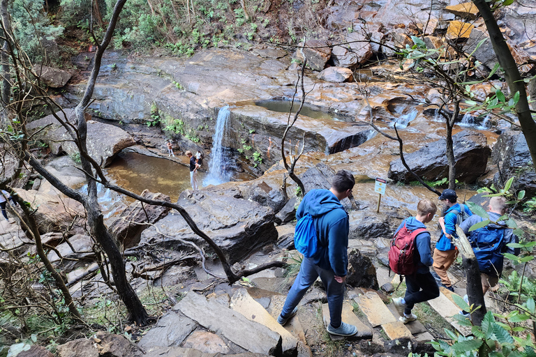 Vanuit Sydney: Blue Mountains-tour met watervalwandeling en lunchBlue Mountains Tour met watervalwandeling en lunch