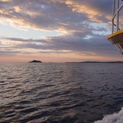 Rovinj: Sunset Boat Trip with Dolphin Watching