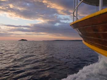 Rovigno: Gita in barca al tramonto con osservazione dei delfini