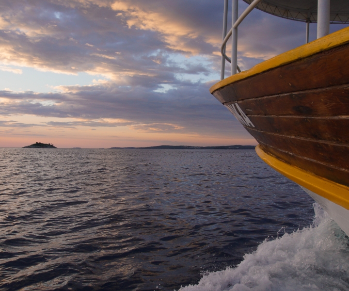 Rovigno: gita in barca al tramonto con osservazione dei delfini