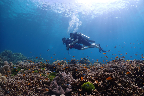 Descubra el buceo Racha Yai de Phuket