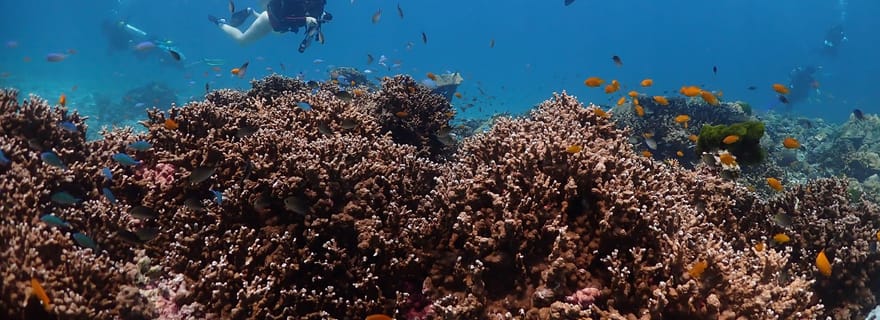 Au départ de Phuket : 3 jours de certification SSI/PADI Open Water Diver