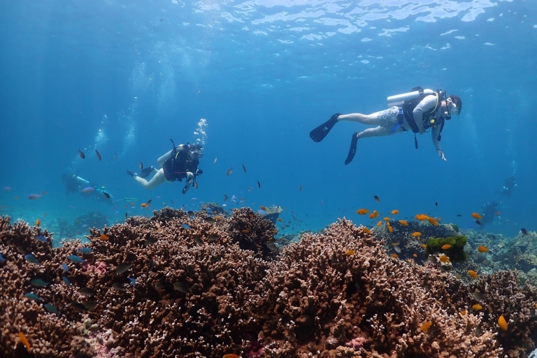 De Phuket: 3 días PADI Open Water Diver certificación
