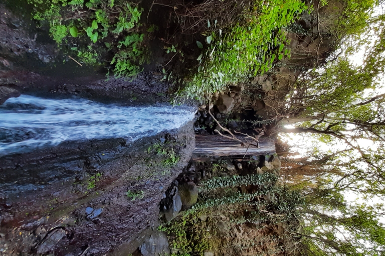 Barranco de los Cernicalos: Wandern im Regenwald