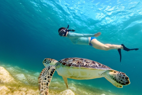 Hurghada: Excursión de un día a la Bahía de Orange con almuerzo y deportes acuáticosExcursión de un día a la isla de Orange Bay en Hurghada