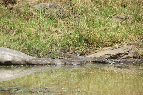 Safari di 4 giorni dal Kenya Nairobi a MombasaSafari di 4 giorni da Nairobi a Mombasa