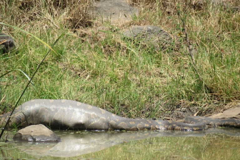 Safari de 4 días por Kenia de Nairobi a MombasaSafari de 4 días de Nairobi a Mombasa