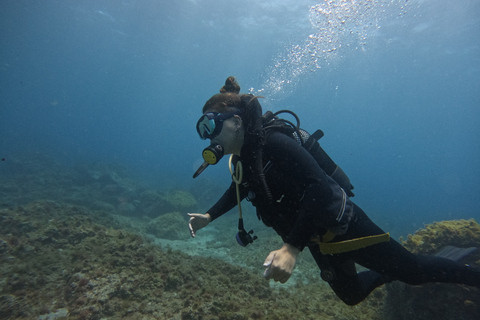 Tenerife: Mergulho para iniciantes em um local com avistamento de tartarugasTenerife: mergulho para iniciantes em um local com avistamentos de tartarugas