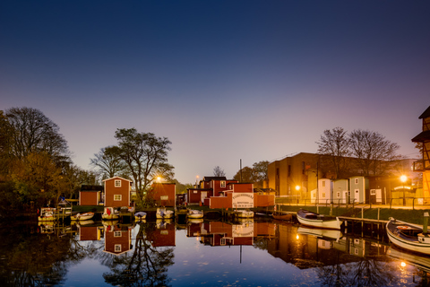 Depuis Copenhague : Visite guidée de Malmö avec billets de transport