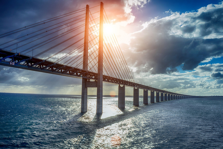 Depuis Copenhague : Visite guidée de Malmö avec billets de transport