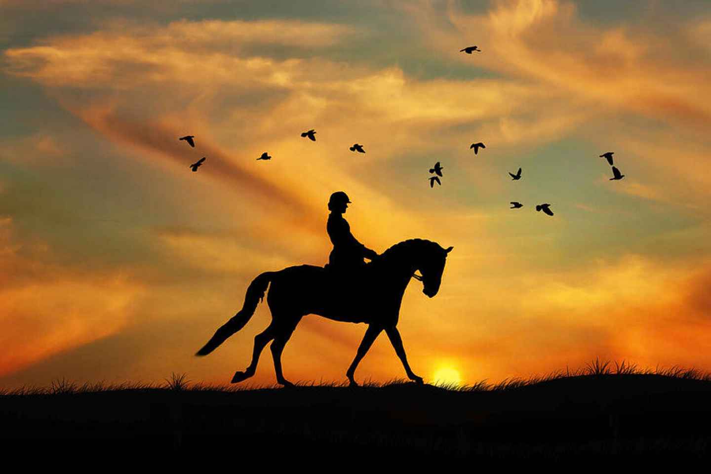 Horse Riding in Cappadocia