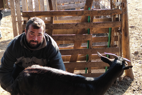 Thessaloniki: Visit a Farm and a traditional Village Visit a goat and sheep farm