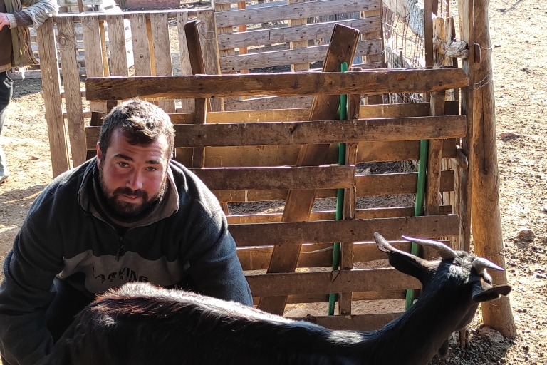 Thessaloniki: Visit a Farm and a traditional Village Visit a goat and sheep farm