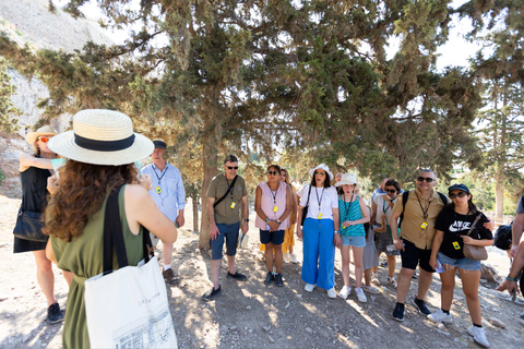 Vroege ochtend begeleide wandeling naar de Akropolis en het museumBegeleide wandeling door Akropolis en museum - met kaartjes