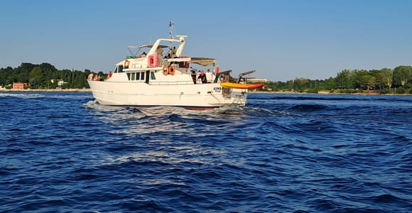 Umag: Bootsfahrt bei Sonnenuntergang mit Delfinbeobachtung