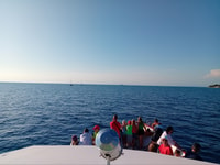 Umag, Sunset Cruise with Dolphin Spotting - Housity