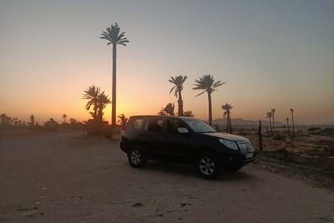 Promenade à dos de chameau dans la palmeraie de Marrakech