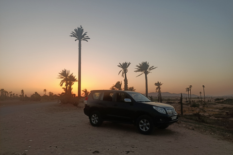 Kamelritt i Marrakech i palmlunden