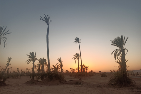 Kameelrit in Marrakech in het palmenbos