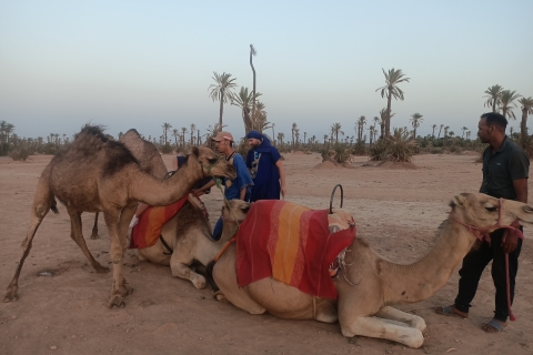 Promenade à dos de chameau dans la palmeraie de Marrakech