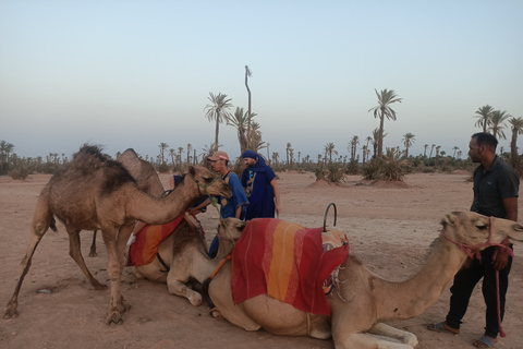 Kamelritt i Marrakech i palmlunden