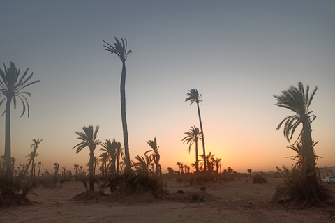 Kameelrit in Marrakech in het palmenbos