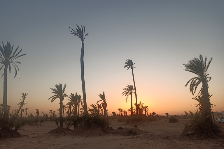 Paseo en camello por el palmeral de Marrakech