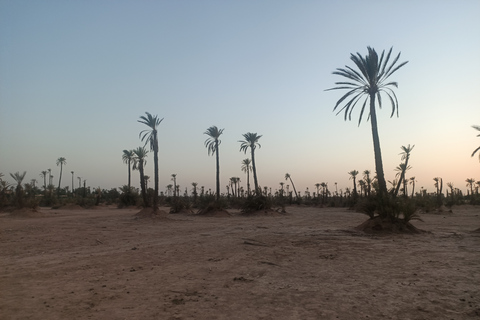 Kameelrit in Marrakech in het palmenbos