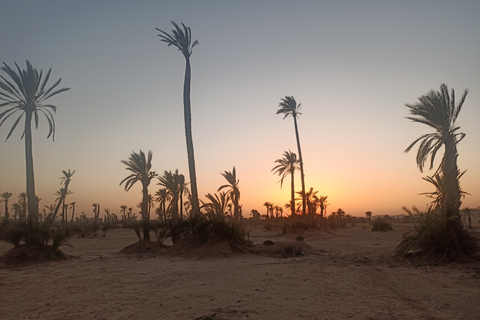 Promenade à dos de chameau dans la palmeraie de Marrakech