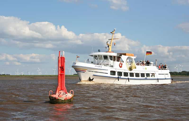 From Tönning: Boat trip to see the seals