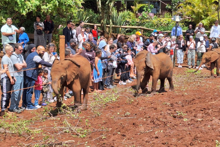 Nairobi National Park, Elephant Sanctuary and Giraffe Center