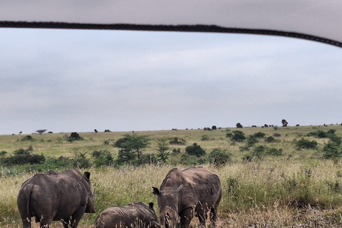 Nairobi National Park, Elephant Sanctuary and Giraffe Center