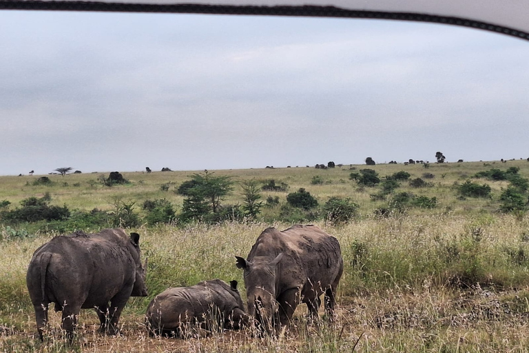 Nairobi National Park, Elephant Sanctuary and Giraffe Center